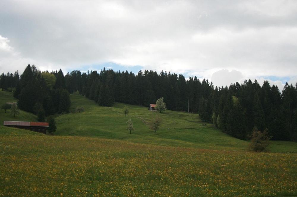 Lindenhof Apartment Зулцберг Екстериор снимка